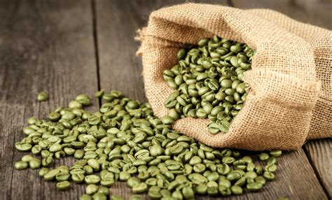 Green Coffee Beans (Raw Organic) « Cottage Hill Herb Farm