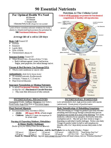 90 Essential Nutrients-Cellular Level | PDF | Nutrition | Diet & Nutrition