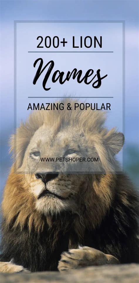 Lion Names 325+ TOP & BEST & Amazing Lion Names - PetShoper