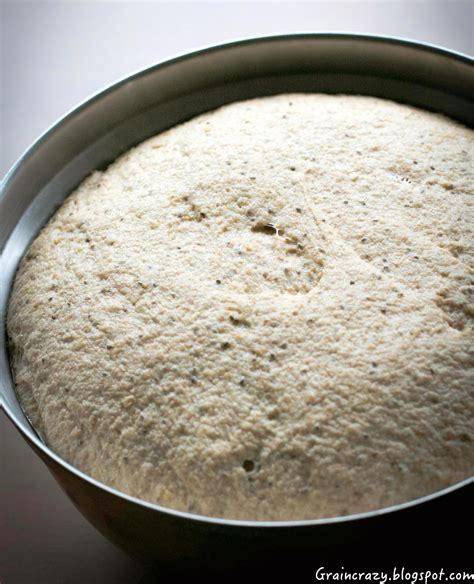 Grain Crazy: Whole Grain Oatmeal Rolls or Bread