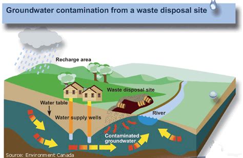 How do humans effect the water cycle? + Example