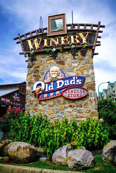 Pigeon Forge what to do in Tennessee best places to visit in Tennessee | Cool places to visit ...