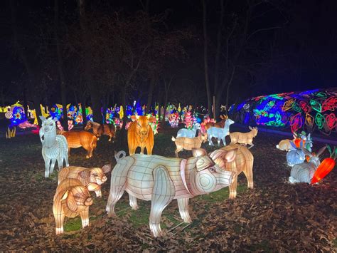 2023-2024 NYC Winter Lantern Festival: Enchanting glow of 1K lanterns ...