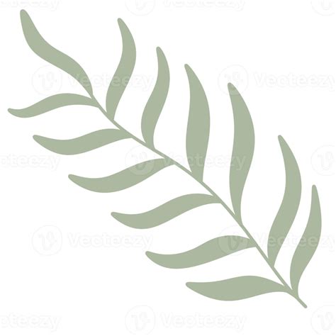 Free pastel green tropical palm Leaf 18803341 PNG with Transparent Background