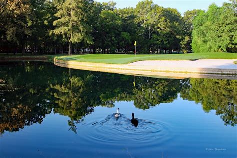 Gallery | Pecan Grove Plantation Country Club | Richmond, Texas