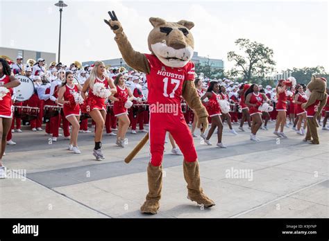 Houston, TX, USA. 23rd Sep, 2017. Houston Cougars mascot Shasta performs with the cheerleaders ...