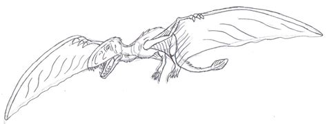 Dimorphodon sketch by Bluedramon on DeviantArt