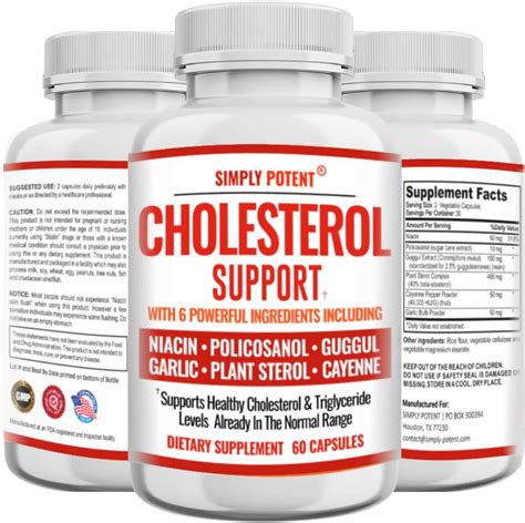 Amazon.com: Cholesterol Support Supplement, Natural Capsuless with Garlic, Niacin, Policosanol ...