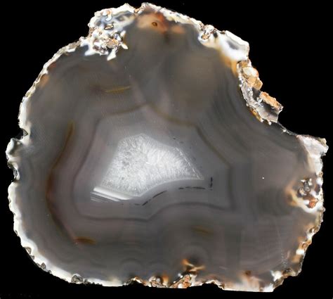 6.3" Polished Brazilian Agate Slice For Sale (#46062) - FossilEra.com