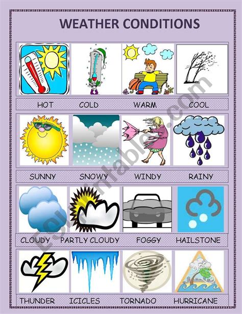 weather conditions - ESL worksheet by ipek83