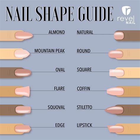 Choose a perfect nail shape with Revel Nail at home DIY Nail Dipping System! | Purple acrylic ...