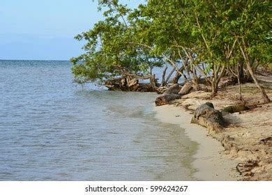 471 Utila Island Honduras Images, Stock Photos & Vectors | Shutterstock