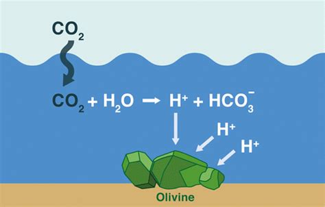 Olivine Dissolution in Seawater: Implications for CO2 Sequestration through Enhanced Weathering ...