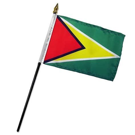 The Flag Of Guyana History Meaning And Symbolism - vrogue.co