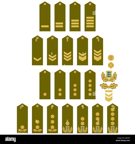 Les grades militaires et de l'insigne du monde. Illustration sur fond blanc Photo Stock - Alamy