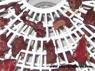 Homemade dog jerky treats recipe