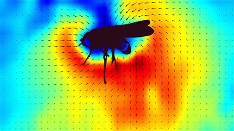 Static electricity helps parasitic nematodes land on victims