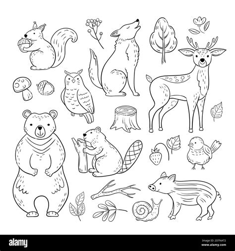 Forest Animal Clipart Black And White Pig