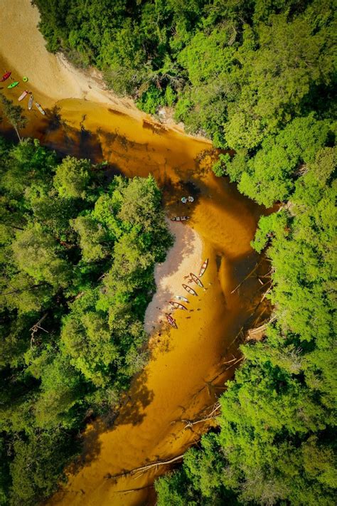 Blackwater River - Pensacola Vibes