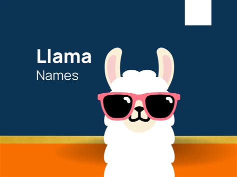 1230+ Llama Names For Tranquil Furry Companions! (+Generator)