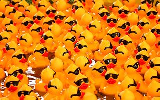 Rubber Ducks with Sunglasses | This was carnival game at a f… | Flickr