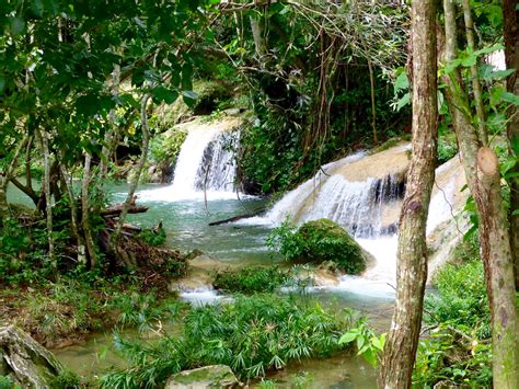 Cuba is a nature photographer's paradise | Simply Cuba Tours