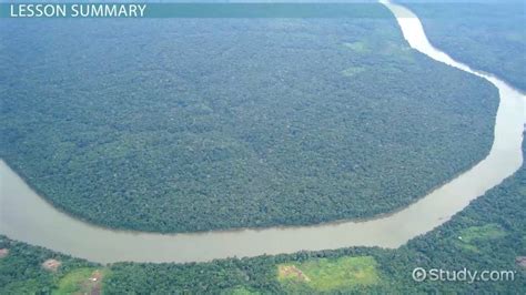 Amazon River Basin Climate & Geography | What is the Amazon River Basin? - Lesson | Study.com