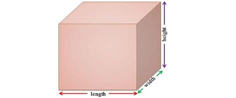 Difference Between Length and Height (with Comparison Chart) - Key Differences