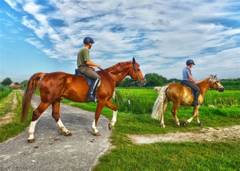 10 Tips for Beginner Riders to Look Like Experts in the Saddle ...