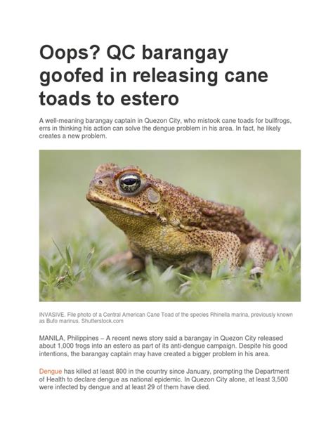 An Invasive Solution: How the Release of Cane Toads in Quezon City ...