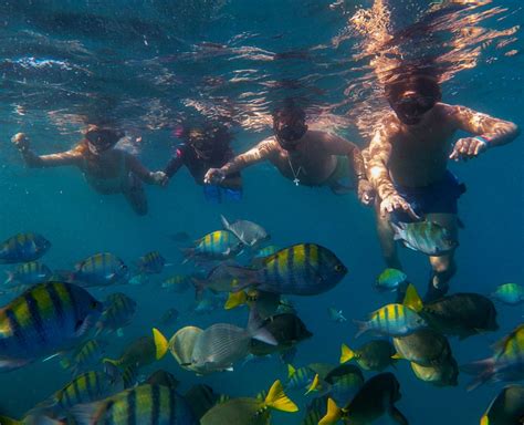 Cabo San Lucas snorkeling tours