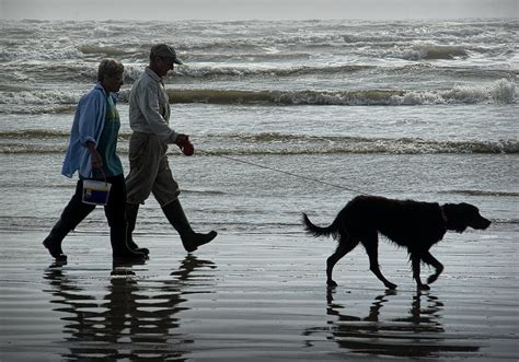 People walking the Dog along the Beach Photograph by Randall Nyhof ...