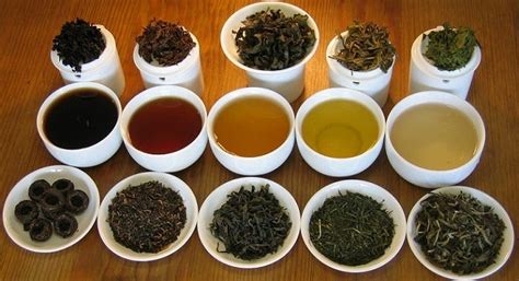 What Is The Best Tea For Weight Loss? | by Lamide Gisanrin | Medium