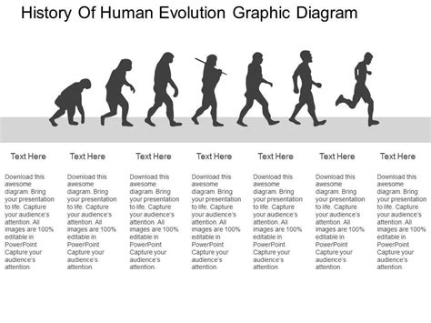 Human Evolutionary Timeline