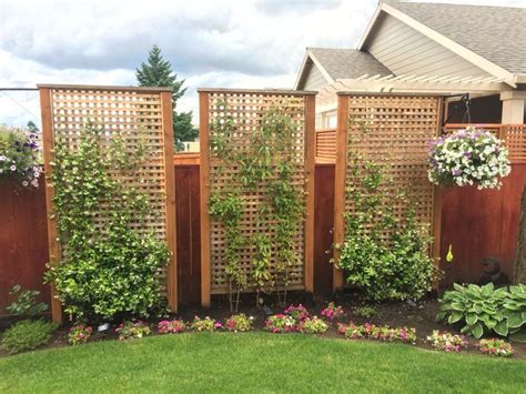 Landscaping. Pretty Privacy. Honeysuckle and Jasmine. | Privacy fence ...