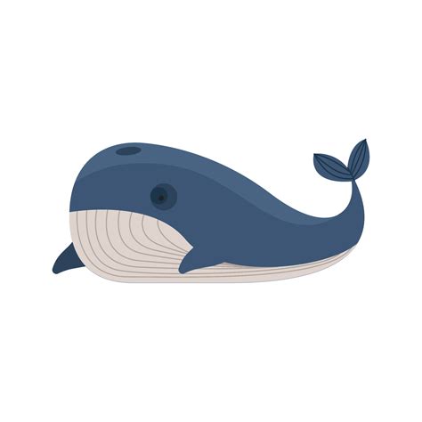 bowhead whale animal 11452958 Vector Art at Vecteezy