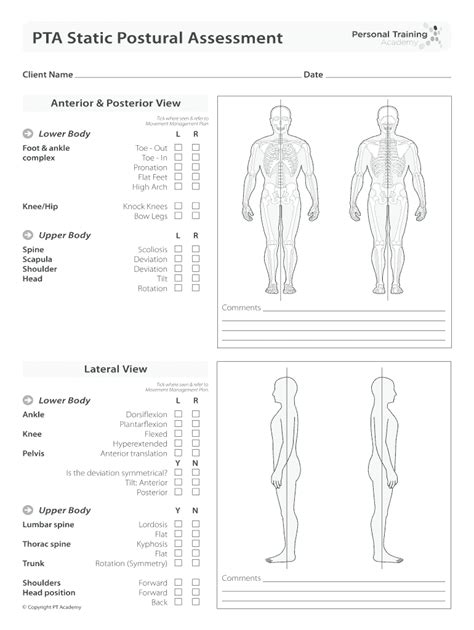 Posture Assessment Pdf - Fill Online, Printable, Fillable, Blank ...