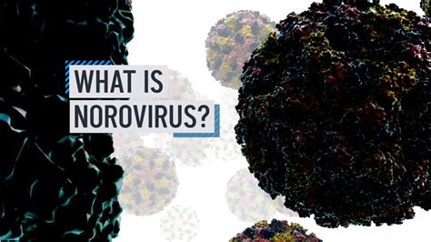 What is Norovirus? – NBC New York