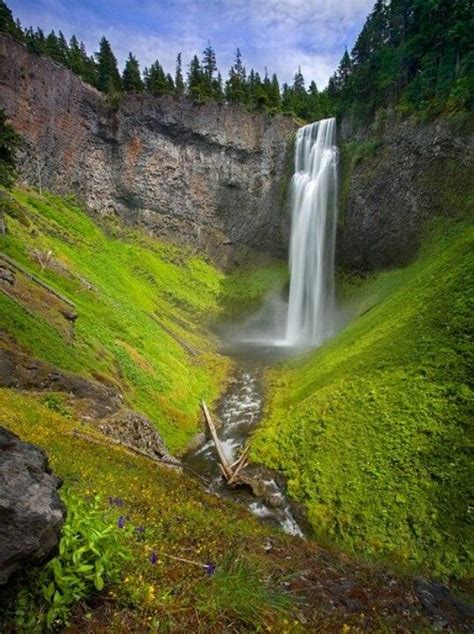 Salt Creek Falls | Oregon | Pinterest