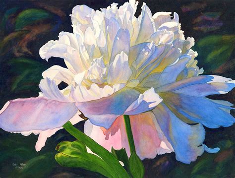 White Pink Peony Watercolor Painting Print by Cathy Hillegas - Etsy ...