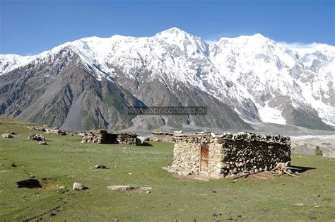 Batura Glacier Trek - Book Now - 2024-25 | Apricot Tours