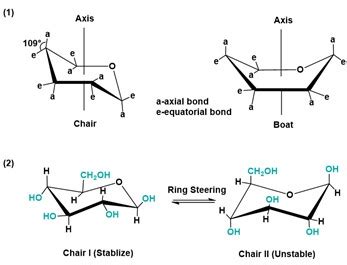 What is a Monosaccharide and Examples? - BOC Sciences