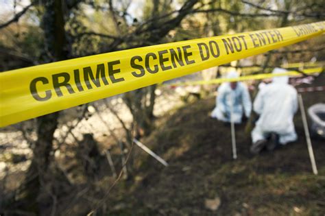 Forensic anthropologists work to identify human skeletal remains and ...