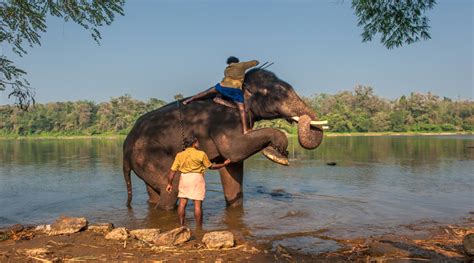 Kerala Wildlife Tour | India Tours & Travel | Waytoindia.com