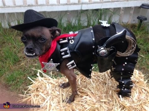 DIY Cowboy Dog Costume