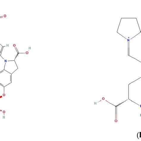 Structure of (a) betanin and (b) indicaxanthin [93,94]. | Download Scientific Diagram