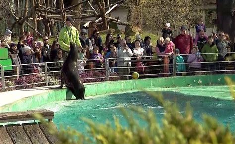 Budapest Zoo (Fővárosi Állat- és Növénykert) - Budapest.city