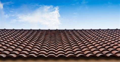 Witney community primary decorates new school roof