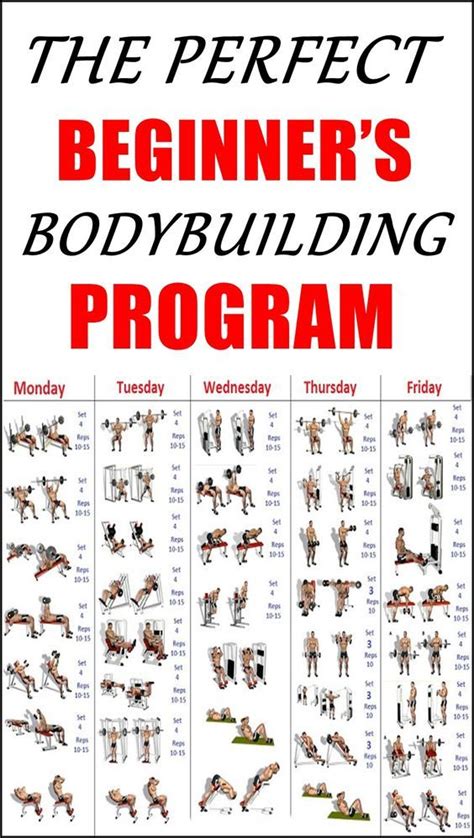 THE PERFECT BEGINNER’S BODYBUILDING PROGRAM | Bodybuilding program, Workout routines for ...