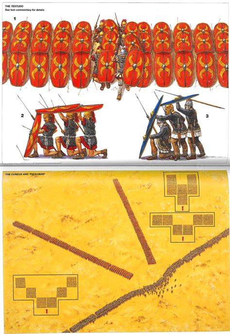 Roman Battle Tactics 109 BC - AD 313_Illustrated by Adam Hook_2 Pax Romana, Roman Legion, Roman ...